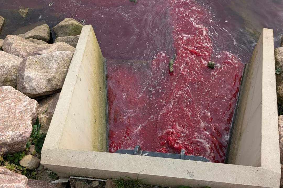 Mowi denies involvement as river runs red in Fort William