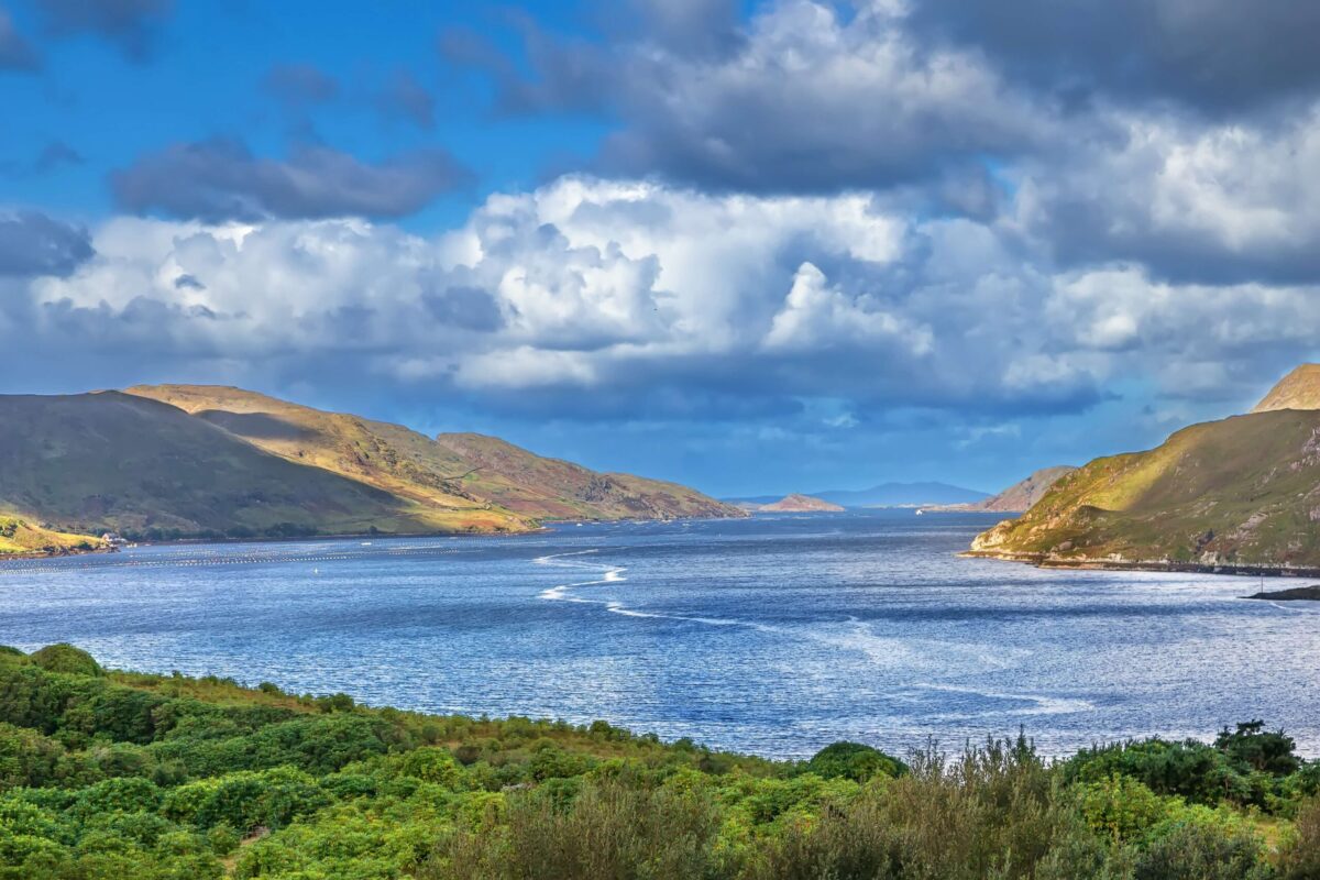 Large salmon escape reported in western Ireland