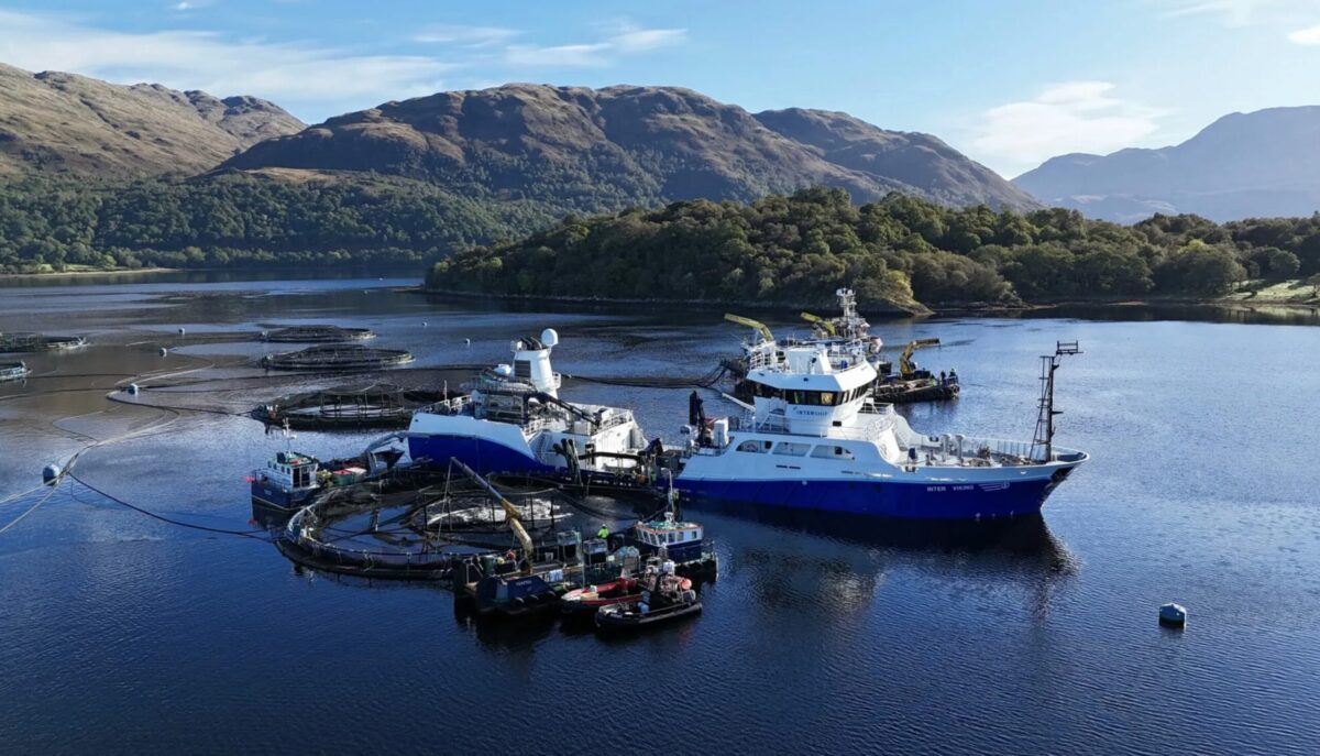 Mowi-post-smolts-loading-at-Loch-Etive-Sept-2024-20241002.jpg