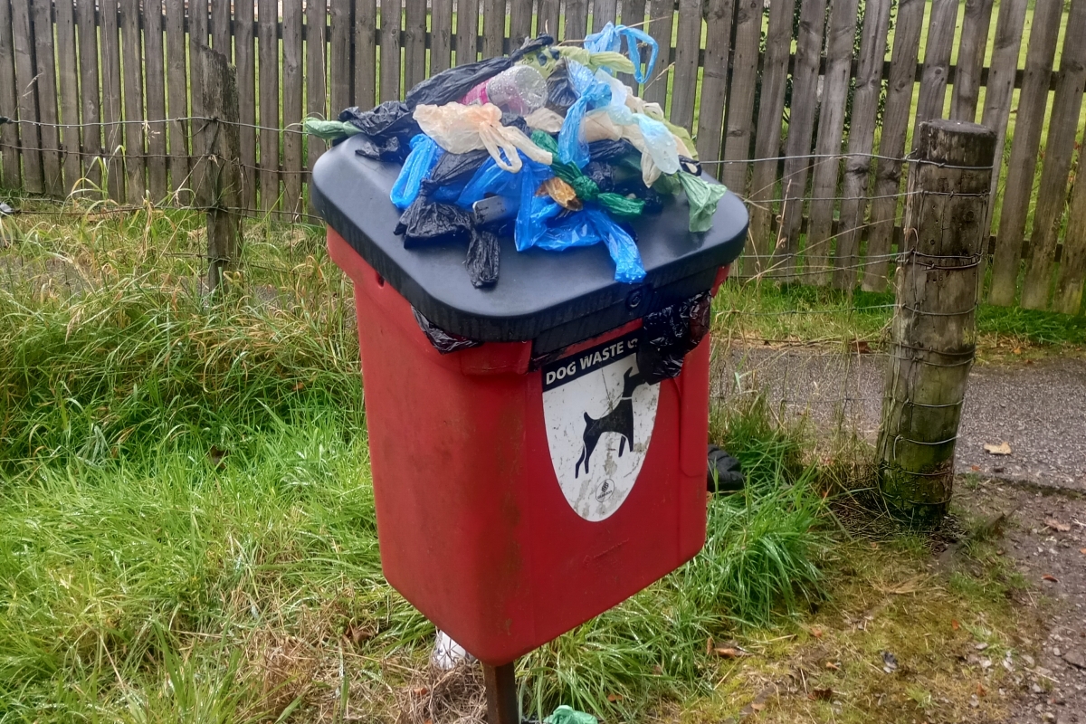 An overflowing dog waste bin in Lochgilphead.