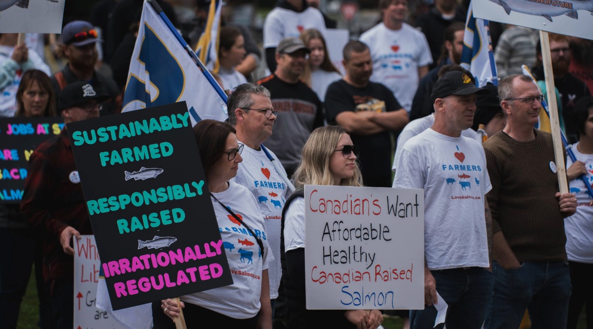 BC fish farm workers take protest to Trudeau political rally