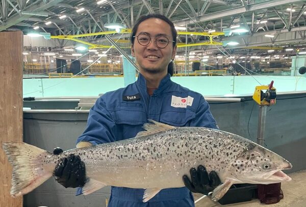 Japan-based RAS salmon farmer says it is achieving premium prices