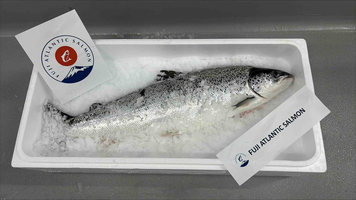 Proximar_salmon-web.jpg