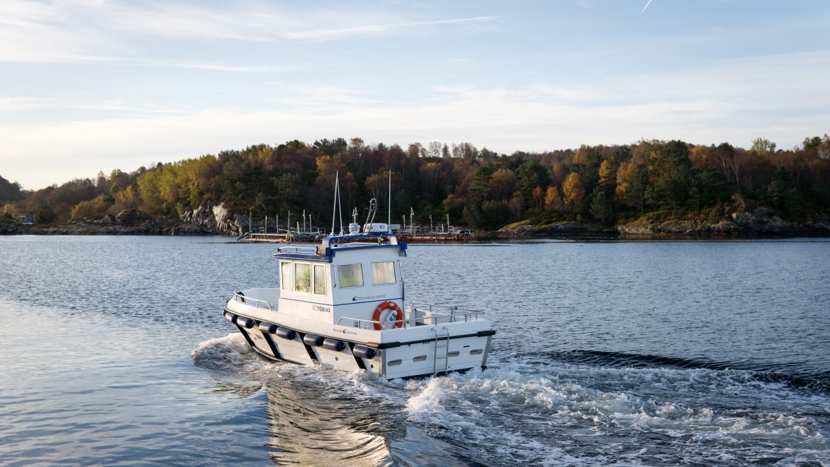 Powering the future of aquaculture: why electric boats are leading the way