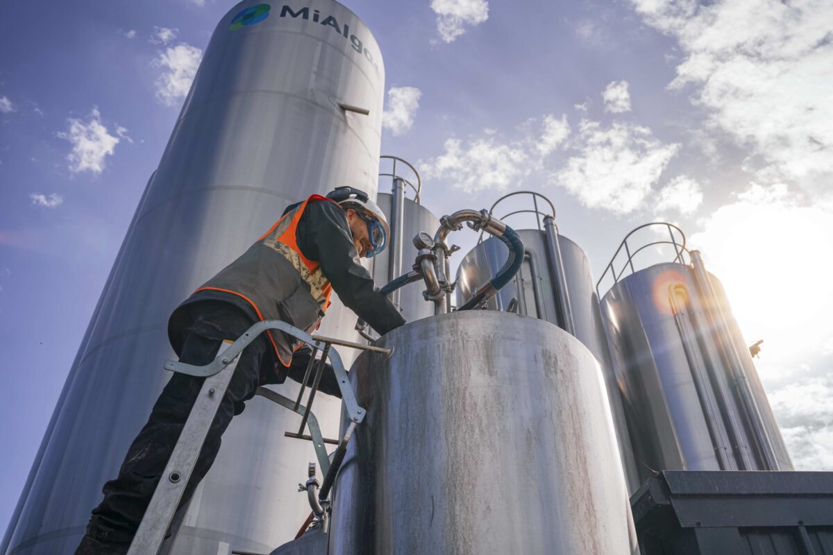 Omega-3 pioneer prepares to scale up