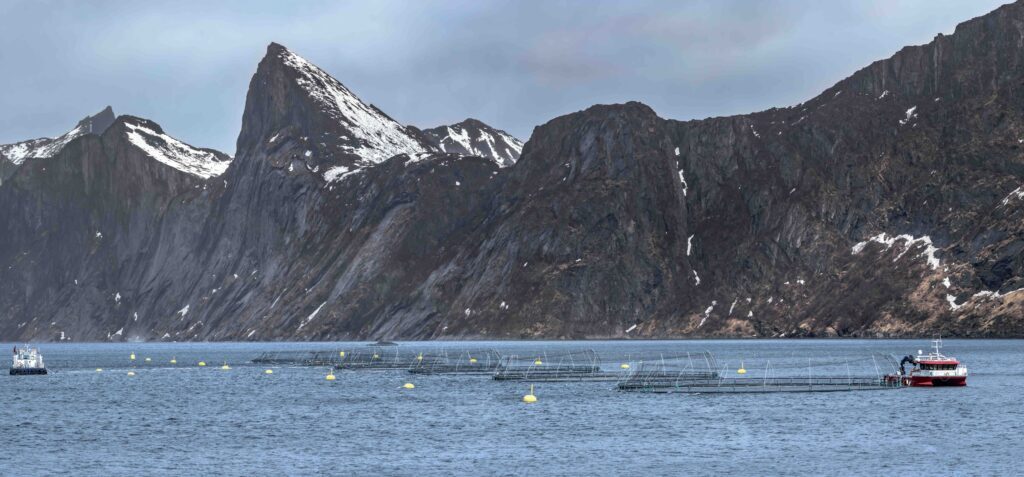 fish-farm-north-norway-AdobeStock_227123488-web.jpg