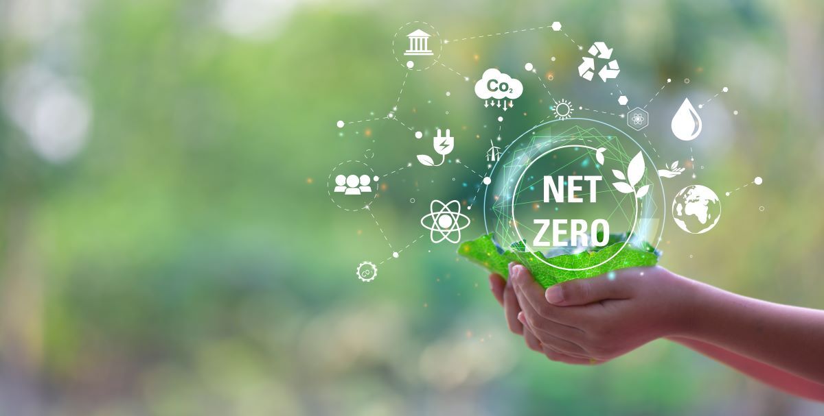 Quest for Net Zero
