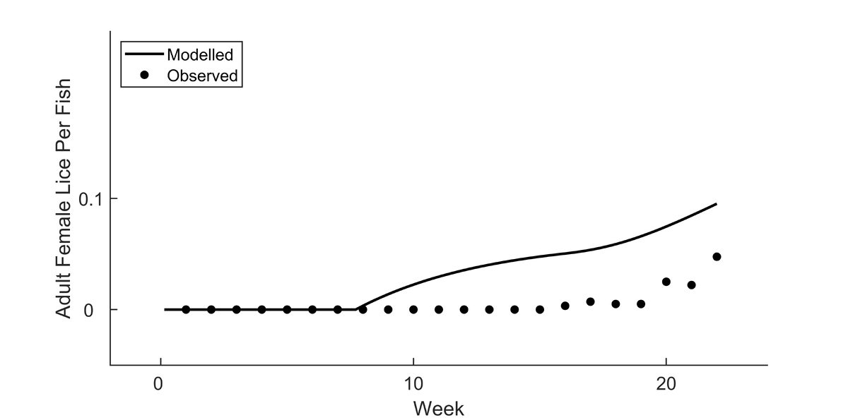 Etive-post-smolts-lice-counts-predicted--observed-weeks-1-22-2024-FF-website-20241004.png