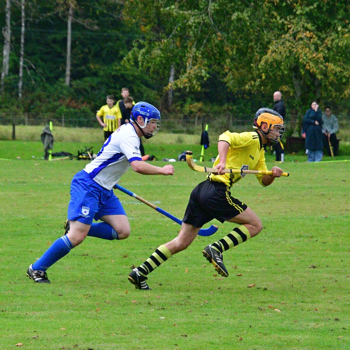 The chase was on beween Inveraray and GMA. Photograph; Andrew Sinclair