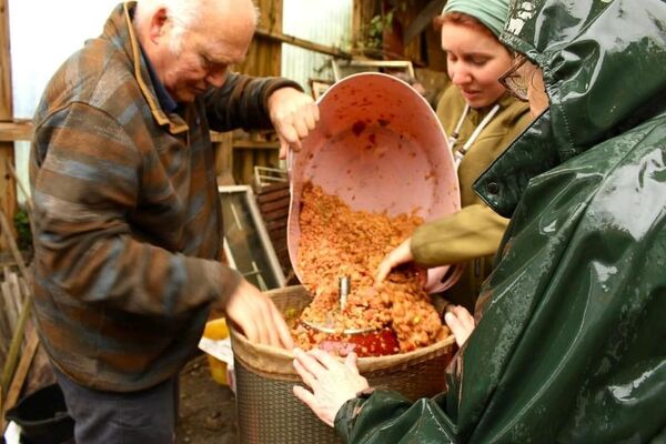 Apple Day's sweet success as it looks to secure funding to become annual event