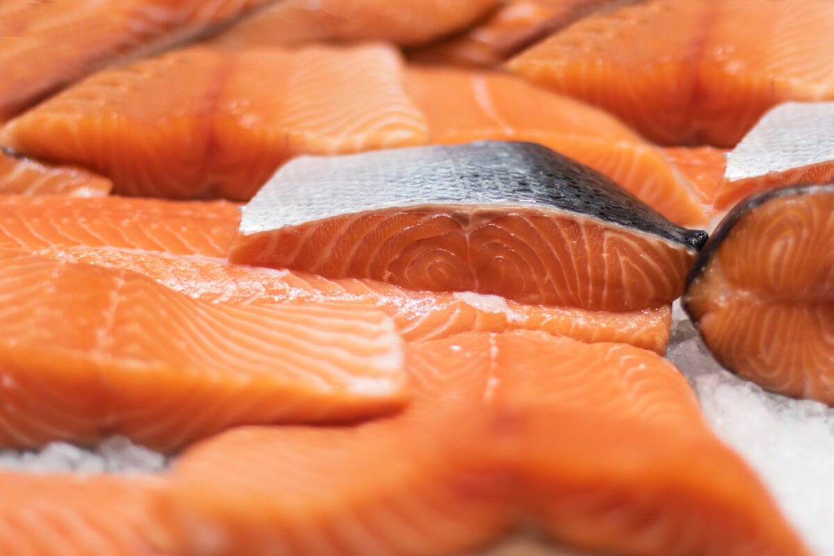 Norway salmon fillets_shutterstock_1375881935-20241010.jpg