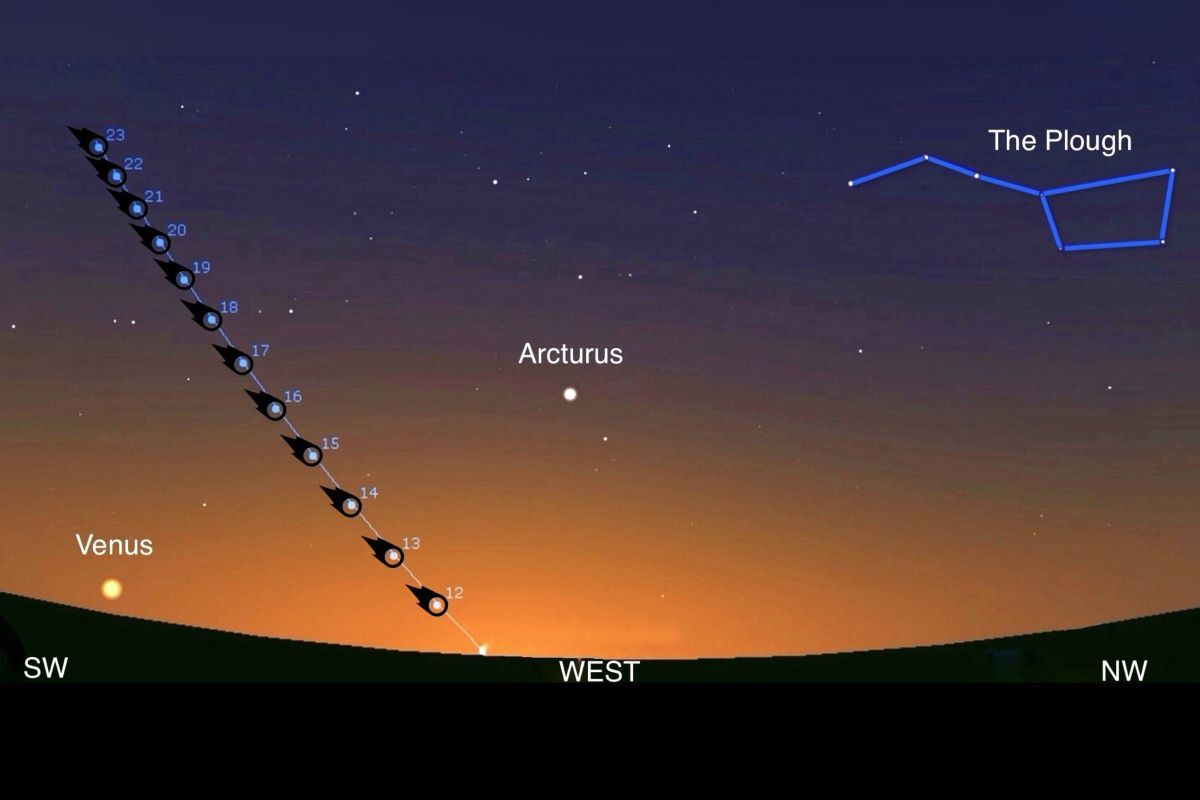 Seeing Stars: A comet in our night sky