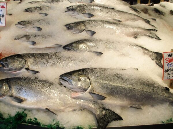 Norwegian salmon prices down to lowest level for two years