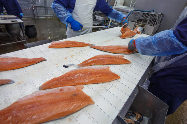 Latest version of Seafood Processing Standard launched