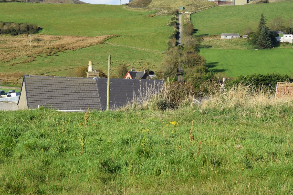 West Coast Today - Media Library - Should landowners be expected to ...