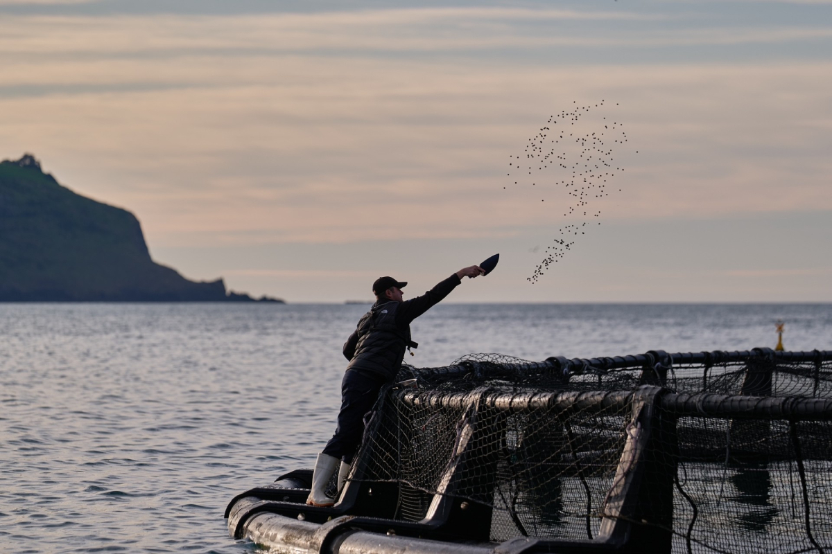 BioMar_Akaroa_Salmon_Oct24-20241021.jpg