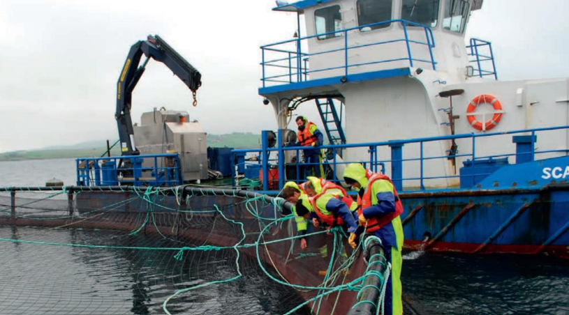 Fish farm Shetland_20241021.jpg