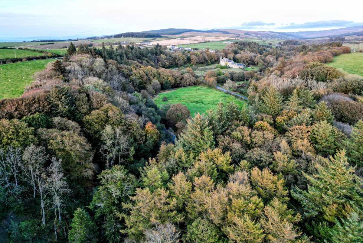 Call for consultees to respond to facts over Glenbarr woodland plans