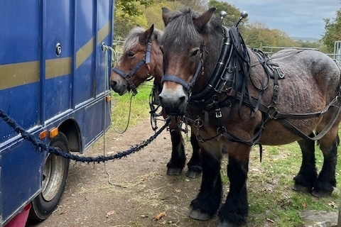 Horse power provides sustainable answer