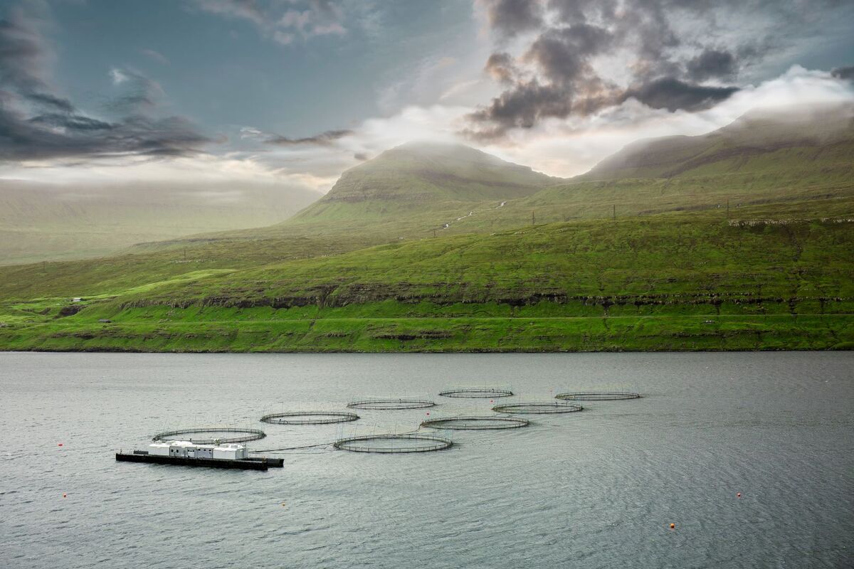 Faroes-AdobeStock_558479602.jpg