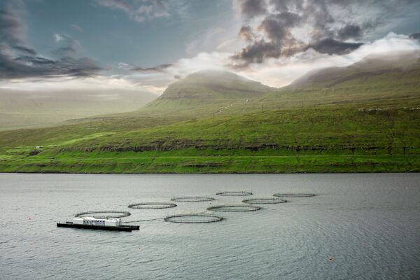 Faroe Islands agrees long term tax deal for salmon farmers