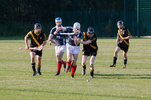 Shinty-hurling first for Outer Hebrides