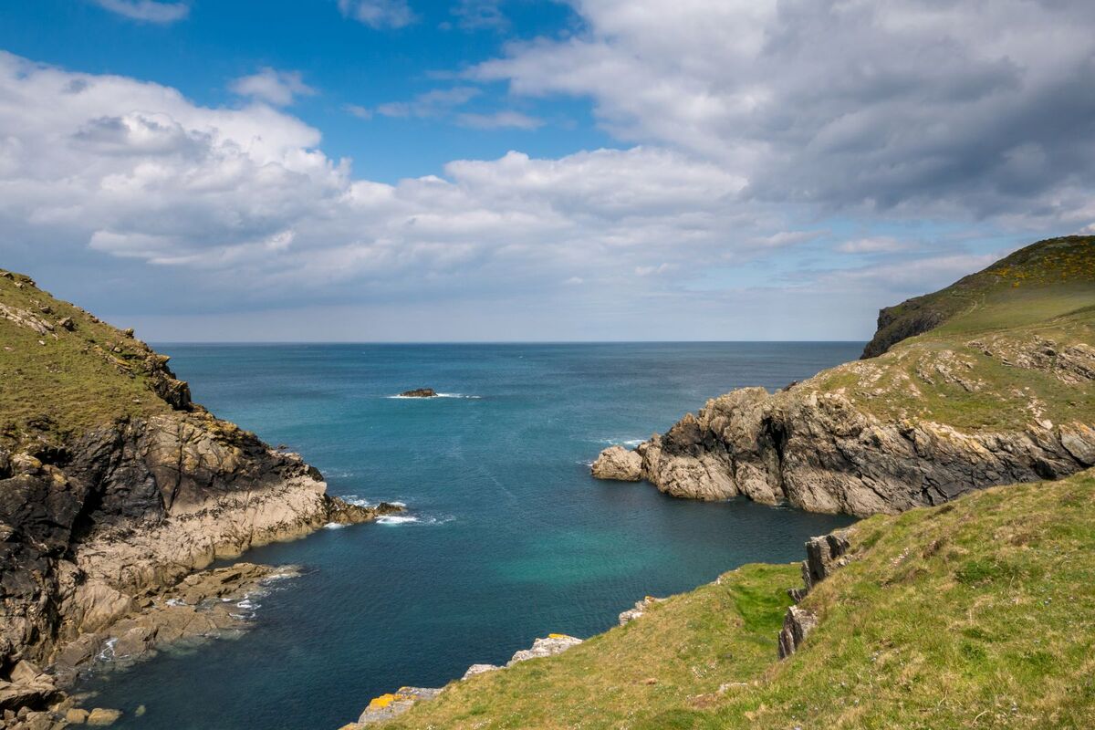 Cornwall seaweed farms back on track