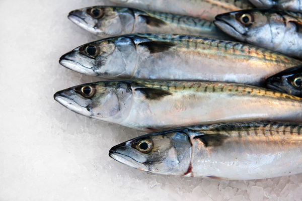 New record set for Norwegian seafood exports