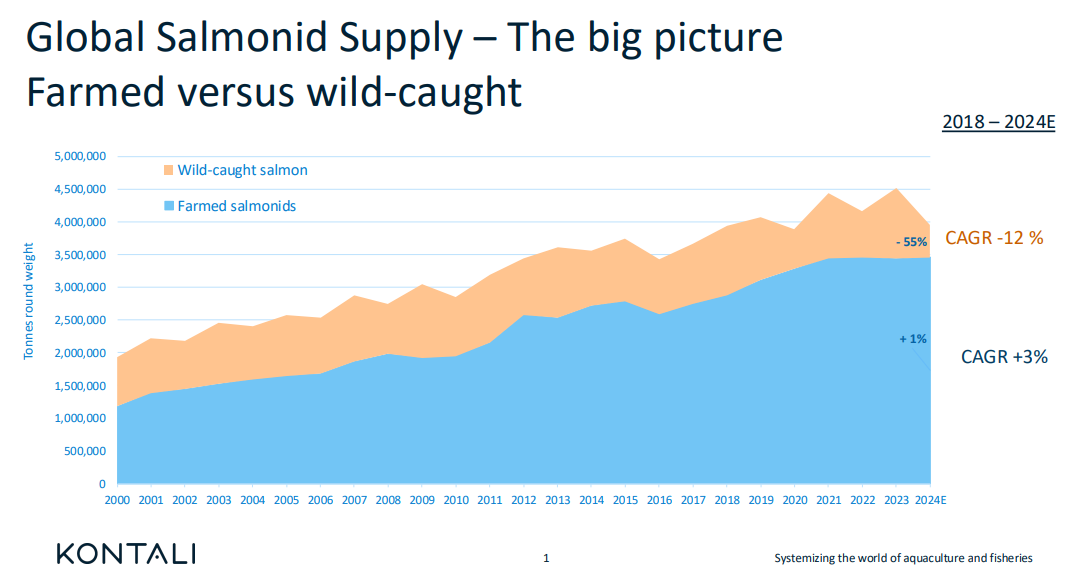 Global_salmonid_supply_20241115.png