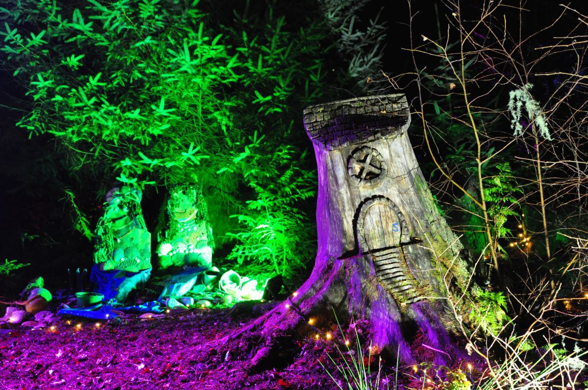 Winter Woods 2024 - A village of tree stump houses made by Roni Macdonald were lit up by a fairylight path. 