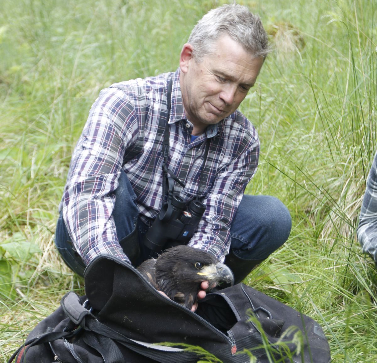 Former Mull RSPB officer Dave Sexton has been announced as one of the charity's newest ambassadors.