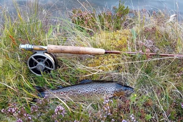 Keeping an eye on the Isle of Mull’s Salmo Trutta