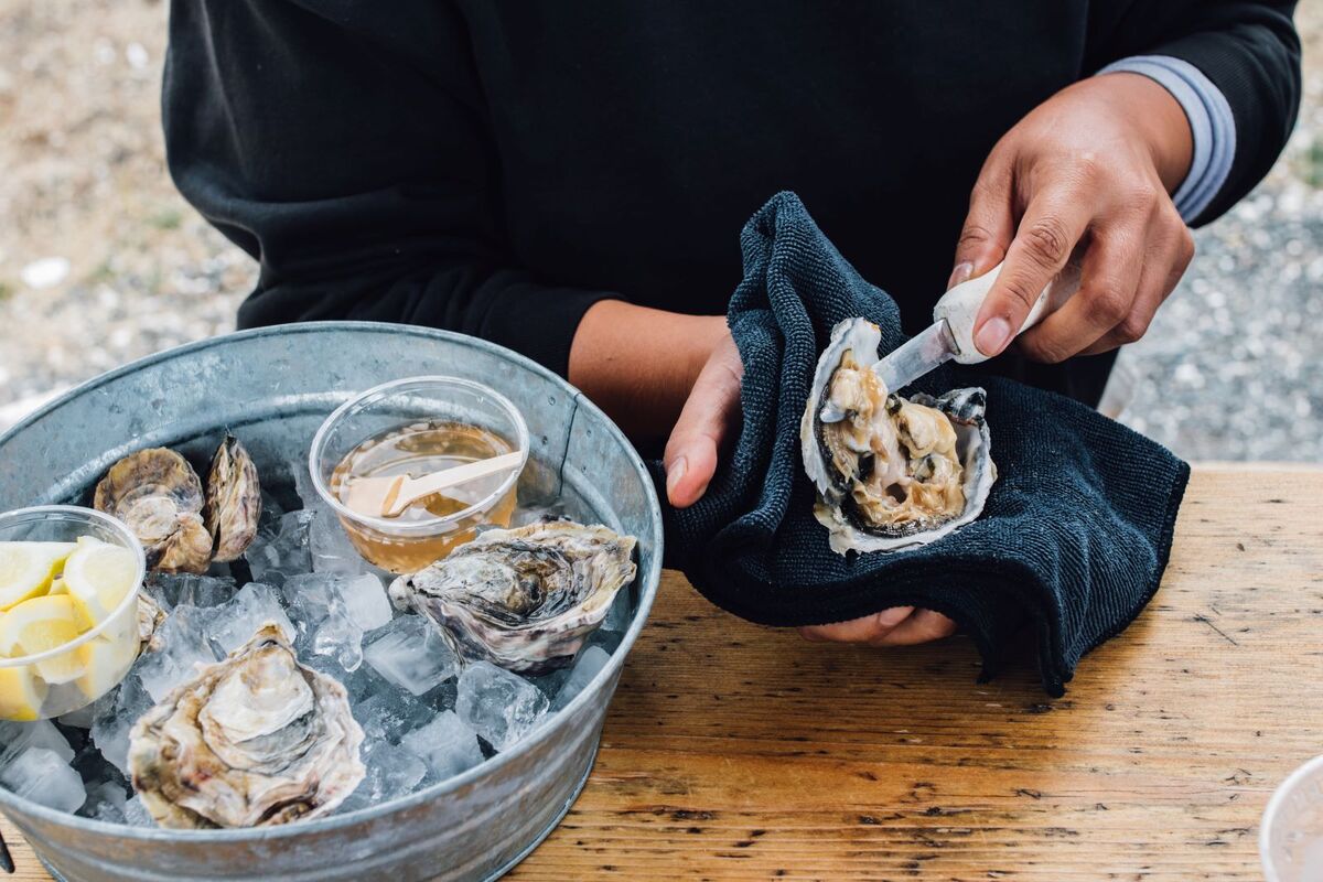 shucking-oysters-_AdobeStock_440238573-20241121.jpg