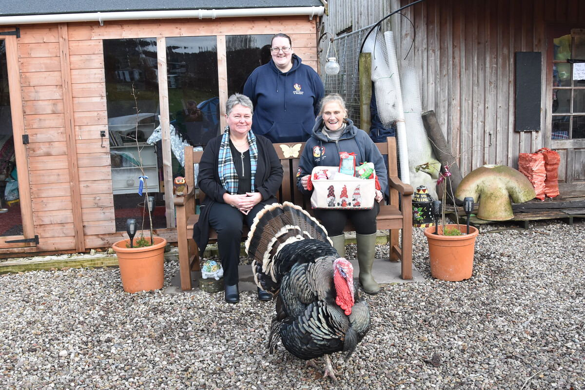 A rescued turkey joins Liz Mclean, Diane Lewis and centre volunteer Maya Maclean at Tommy’s memorial bench. 