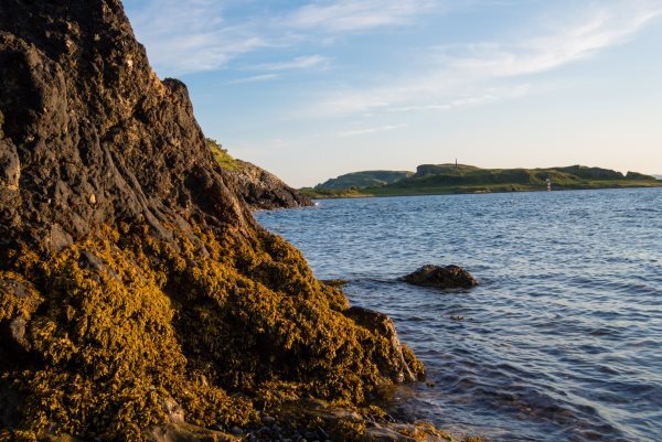 Scottish Seaweed Industry Association (SSIA) conference 2024