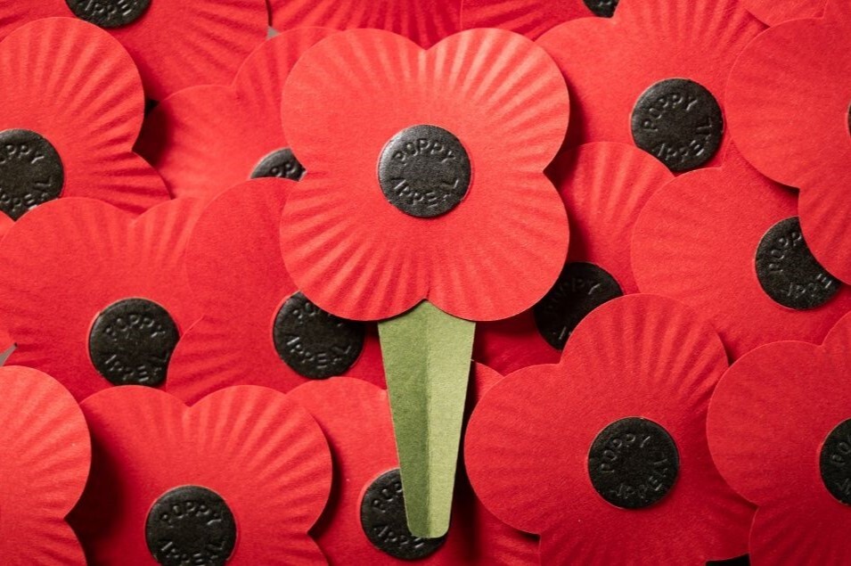 Legion’s thanks for town’s Poppy Appeal support