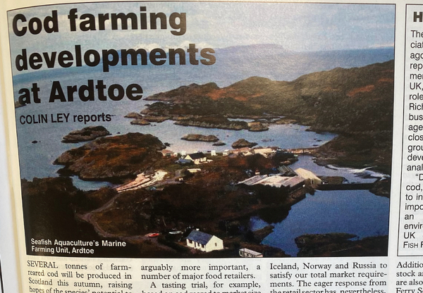 Cod farming at Ardtoe