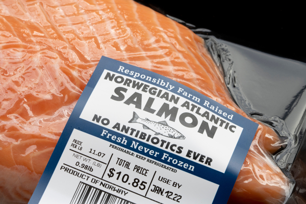EU holds back on salmon tariffs in trade war with US