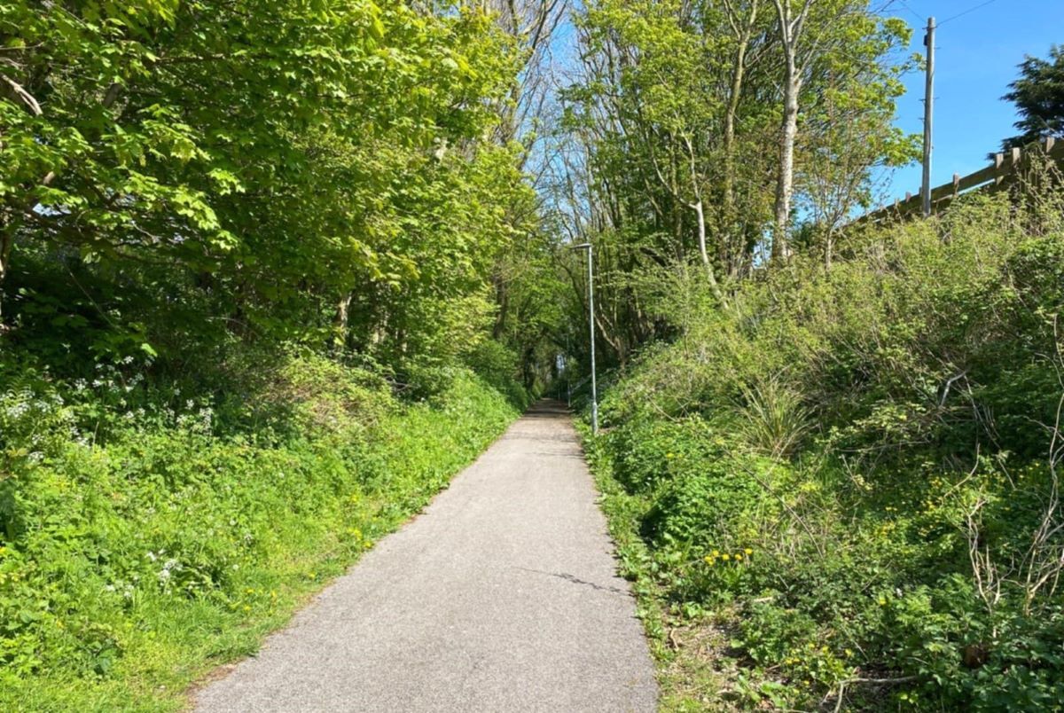 Campbeltown’s biodiversity is good but could be better, reveals survey