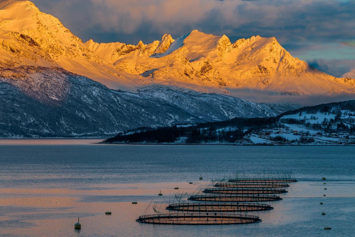 fish-farm-Lofoten-Norway-AdobeStock_831161814_midres-20241205.jpg