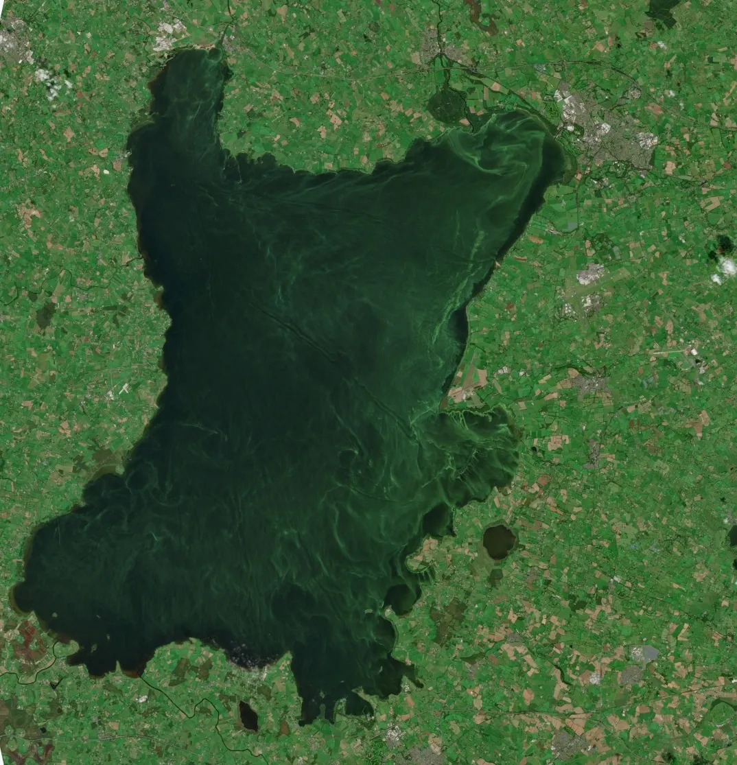 Lough_Neagh_algae_NI_Space.jpg