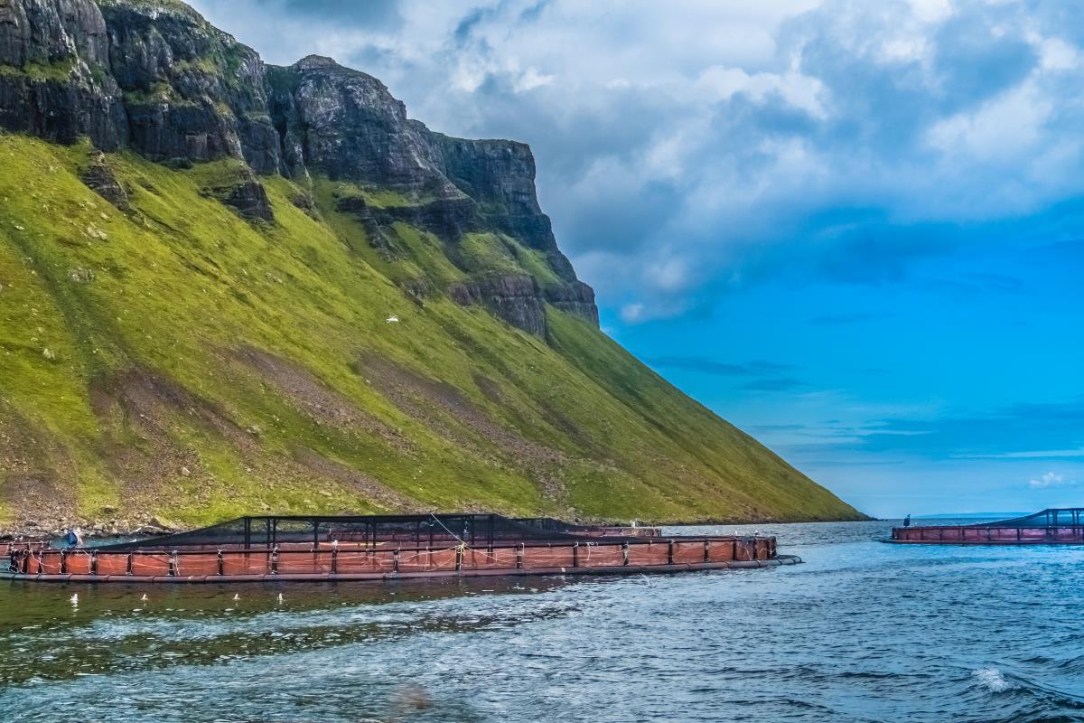 fish-farm-Skye-AdobeStock_187791104-20241212.jpg