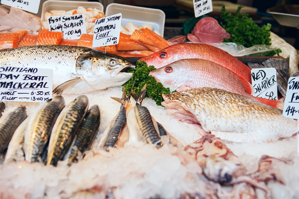 UK seafood exports grow – but imports are still bigger