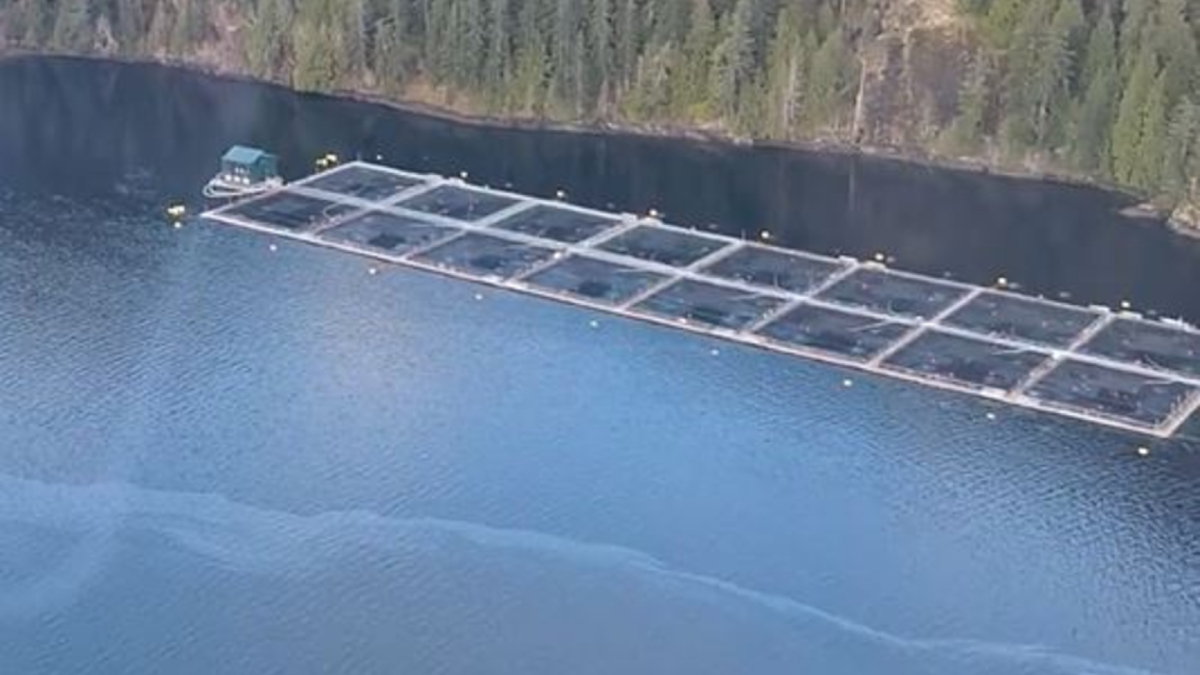 Esperanza_Bay_farm_oil_spill_BC_Ministry_of_Envmt_and_Parks-20241218.jpg