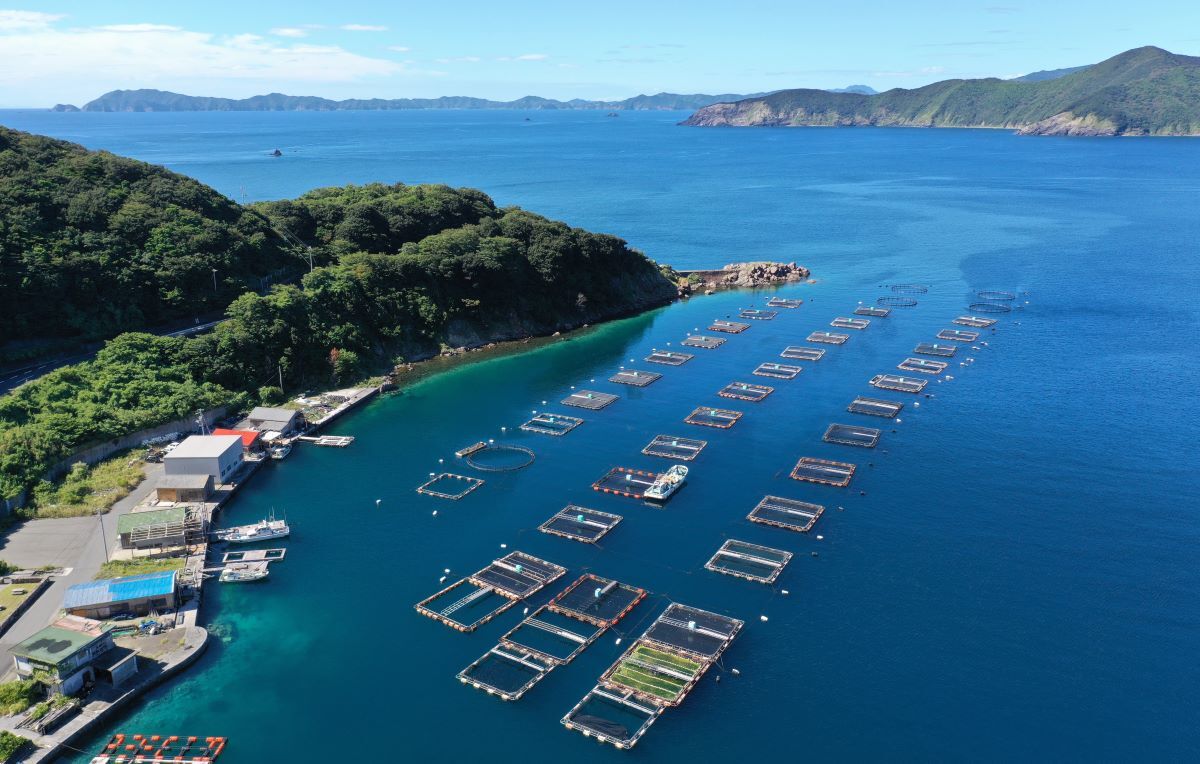 Fish-farm-in-Ainan-Japan_AdobeStock_520351416-20241218.jpg