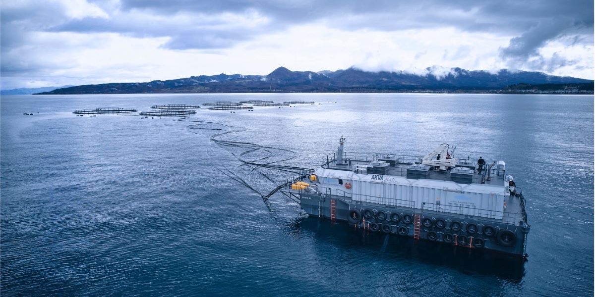 Japan-Salmon-Farm-became-the-first-in-Japan-to-introduce-a-remote-feeding-system-using-barges-in-2022-(photo-Okamura-Foods)-20241218.jpg