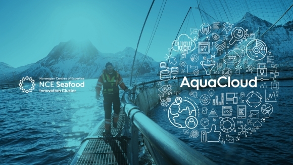 aquacloud_corporate-20241218.jpg