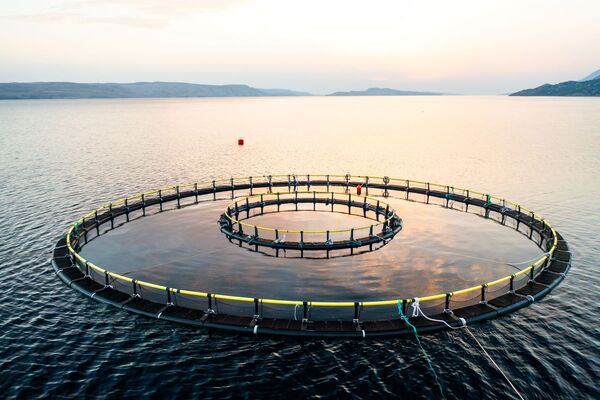 Scottish Government consults on streamlining offshore regulation