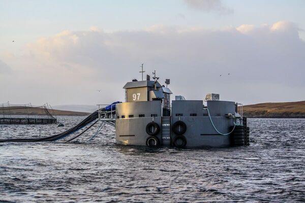 Boats and Barges