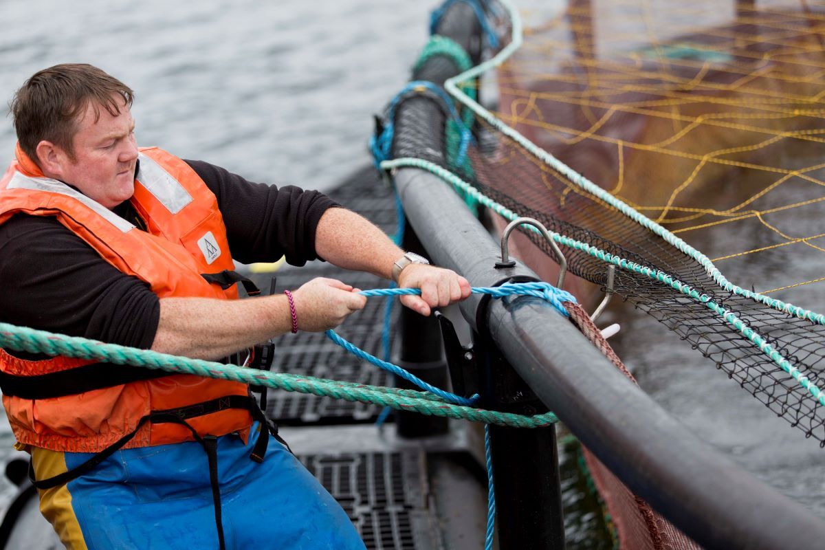 Fish-farm-worker_Salmon-Scotland.jpg